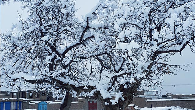 برف کابل 