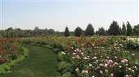 باغ گیاه شناسی ملی ایران