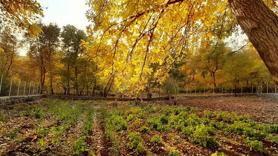 گردشگری طالقان البرز