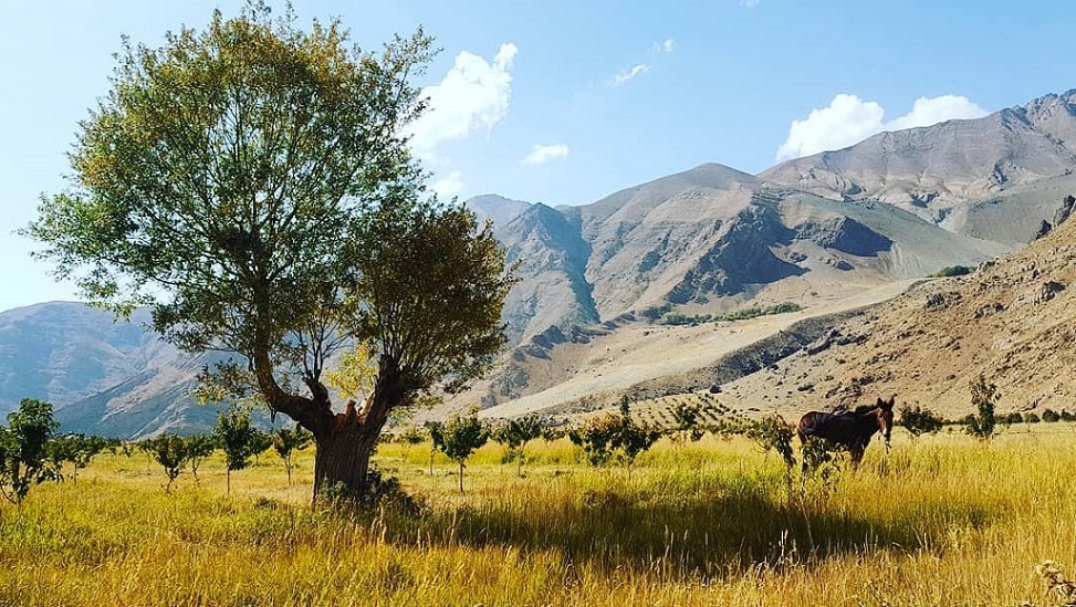 گردشگری طالقان البرز