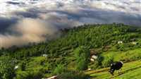 روستای مازیچال، ییلاقی در تلاطم ابر و نور
