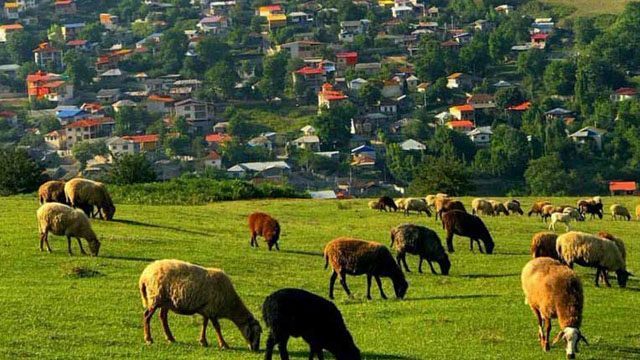 روستای فیلبند 