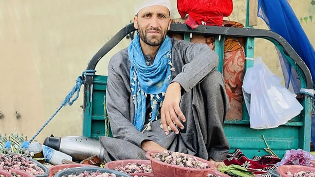 توت افغانستان 