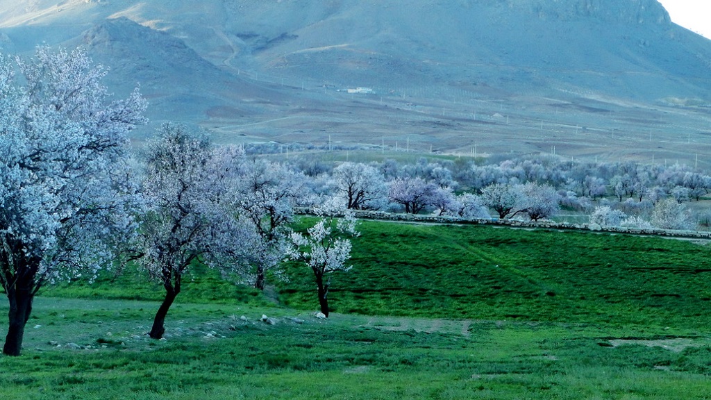 روستای سامان ساوه