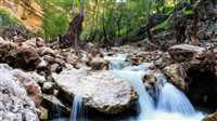 تنگه شیرز لرستان